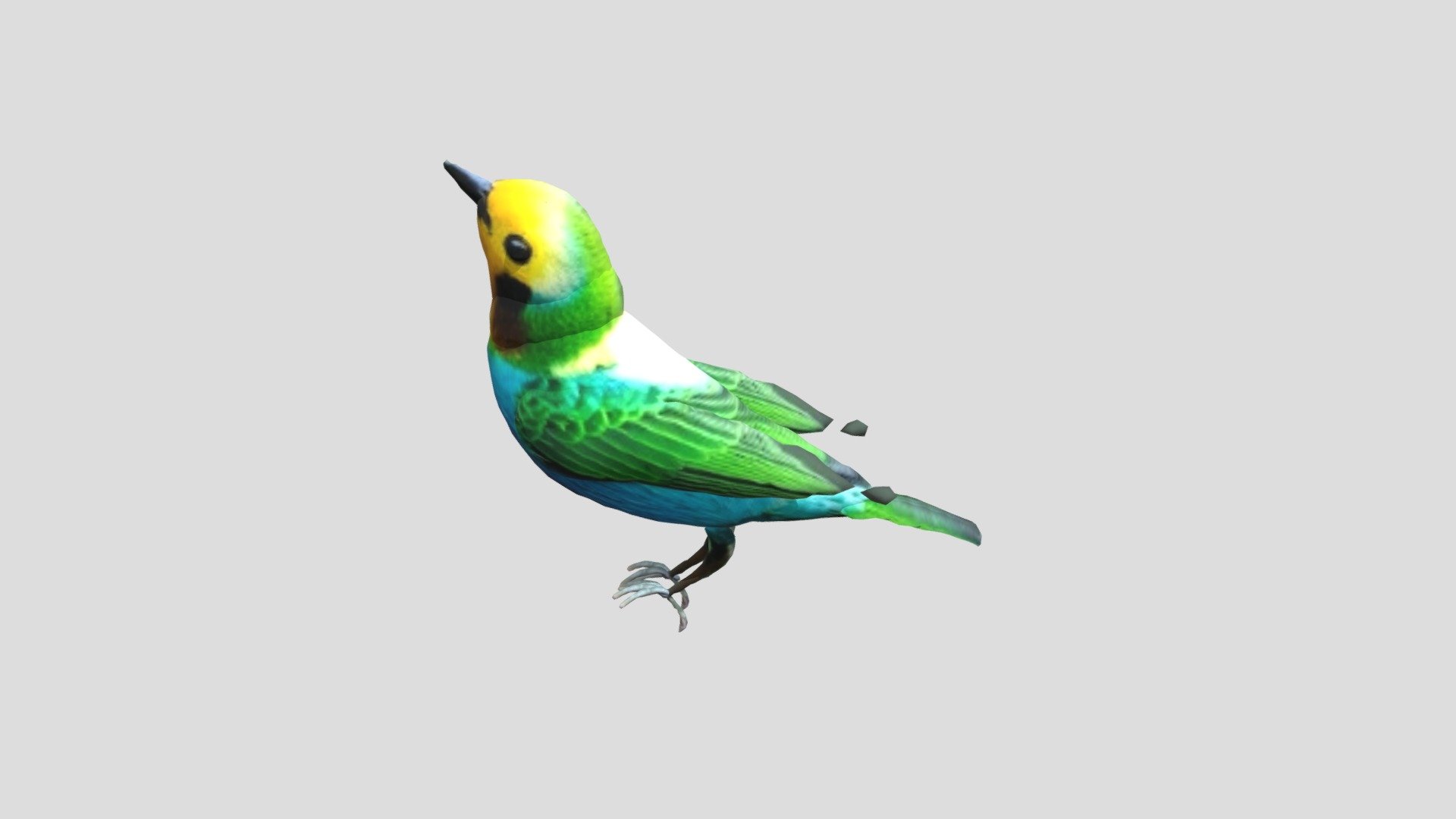 Bb