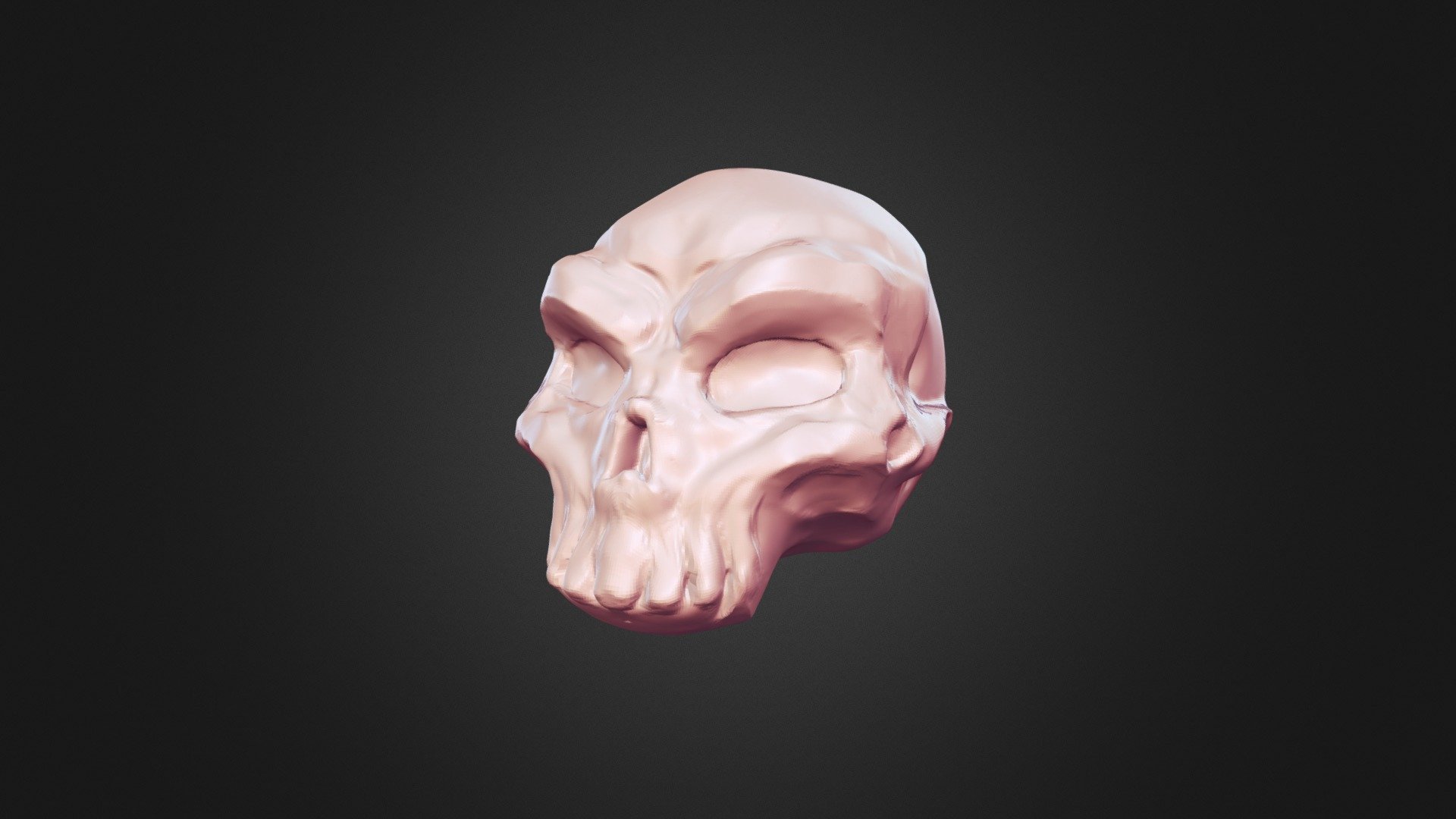 Skull Study