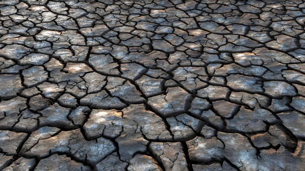 Dry and cracked dark clayey soil