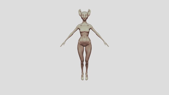cat_1-1 3D Model