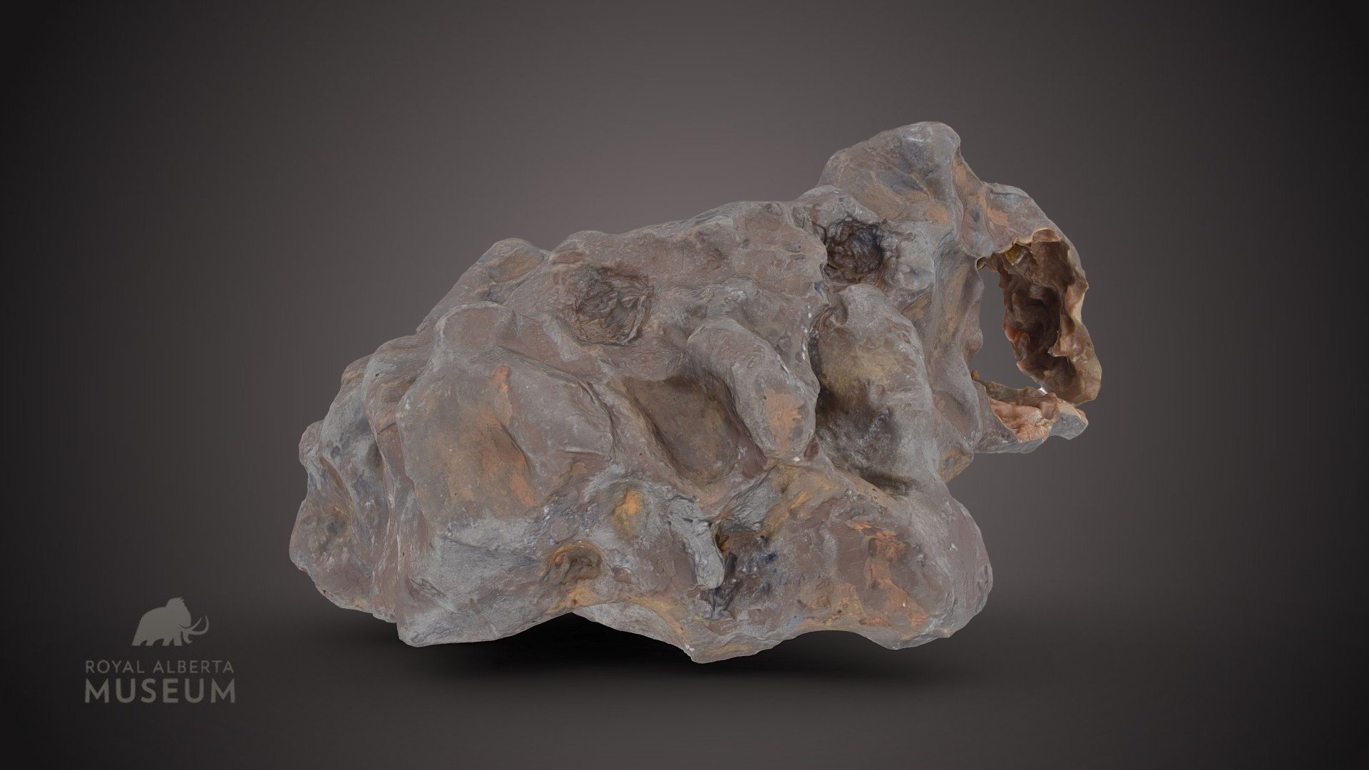 Meteorite cast