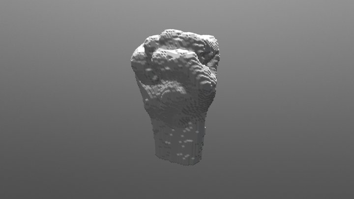 Voxel Fist1mm 3D Model