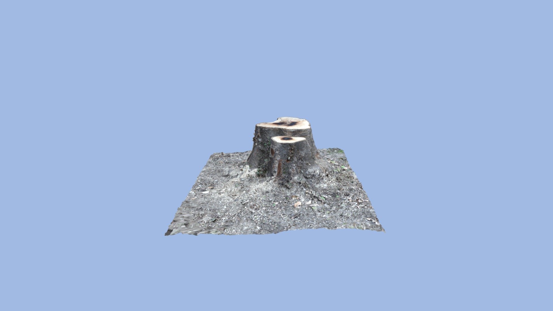 EVOSGAMING - Tree Trunk — Sketchfab embed 3D viewer