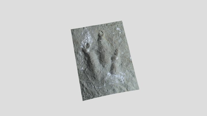 UBGD.275885_2 3D Model