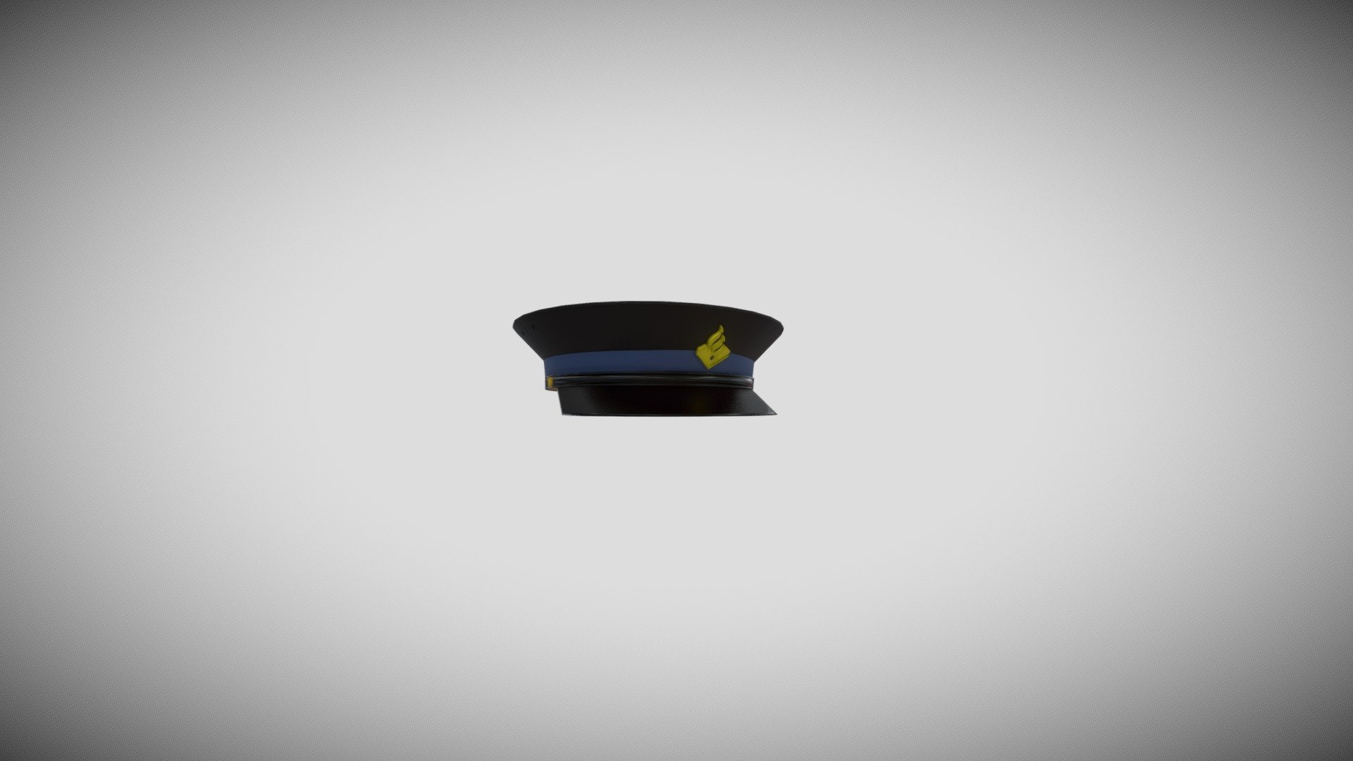 Nederlandse politiepet