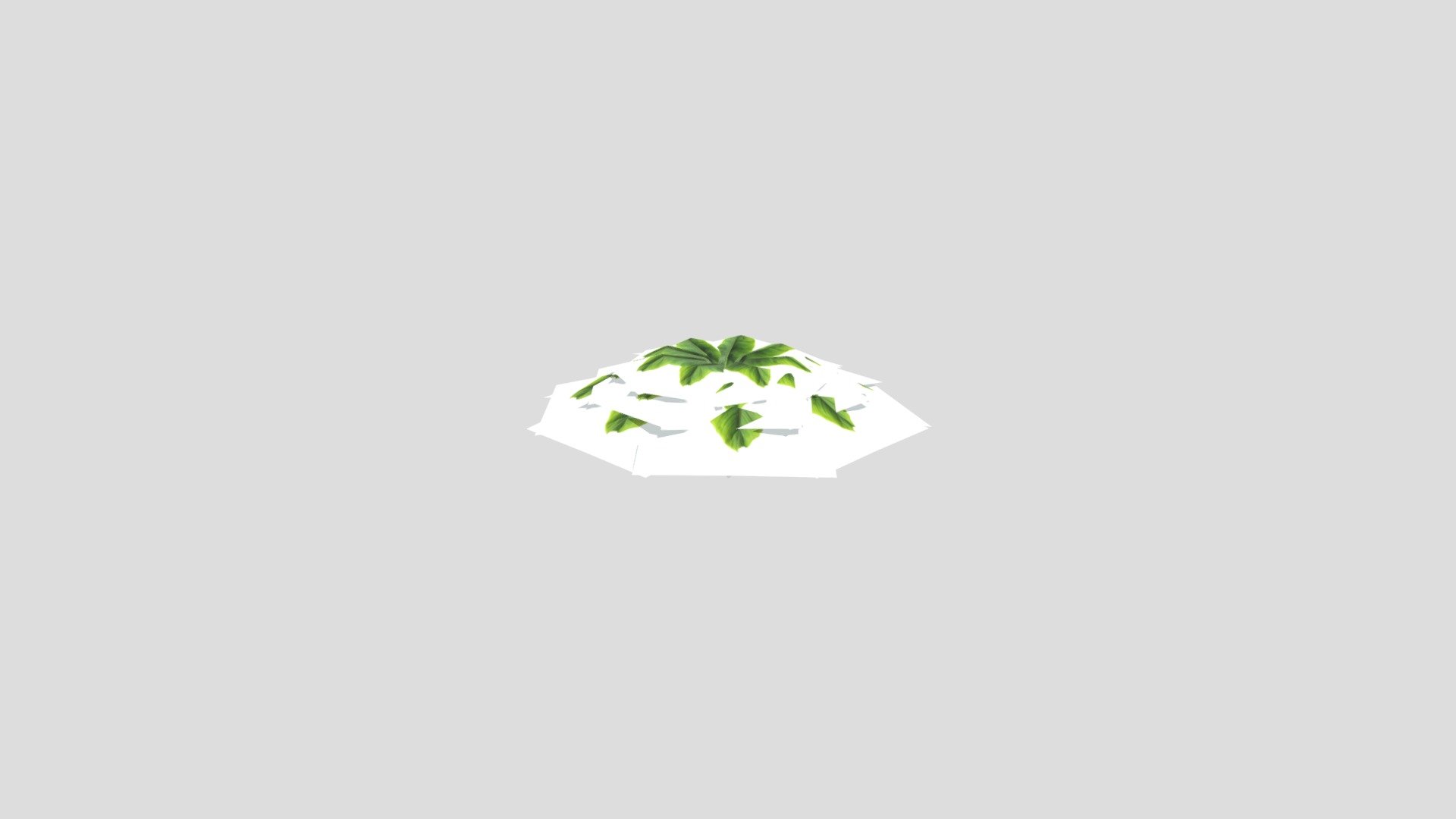 Bush1