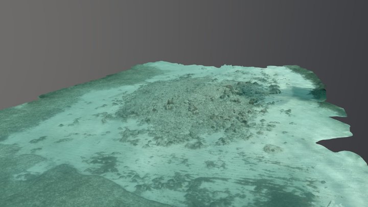 San Pedro Underwater Archaeological Preserve 3D Model