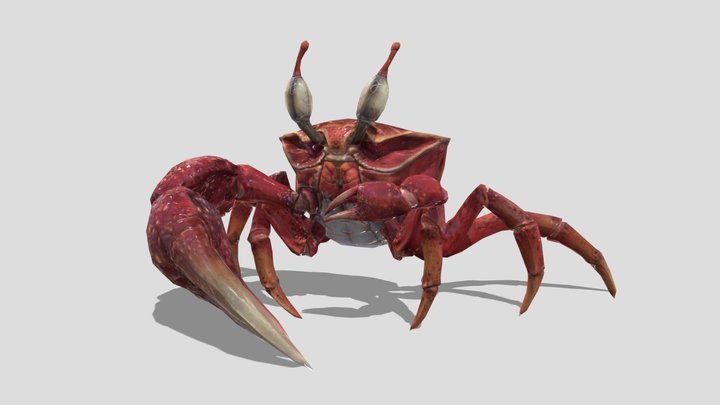Crab – Stylized Animated 3D Model – Modello 3D gratuito STL