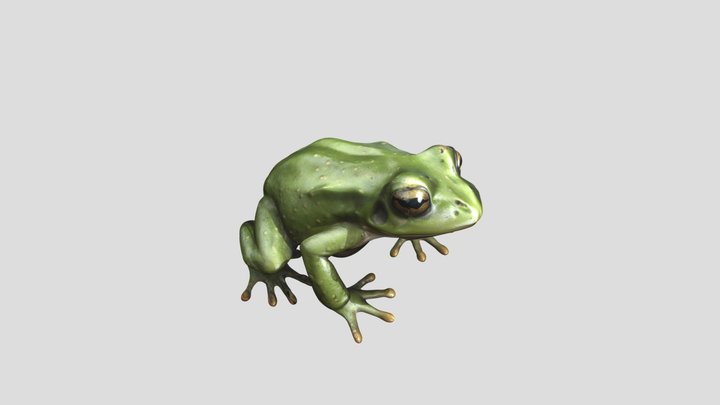 Frog - Loren Art 3D Model
