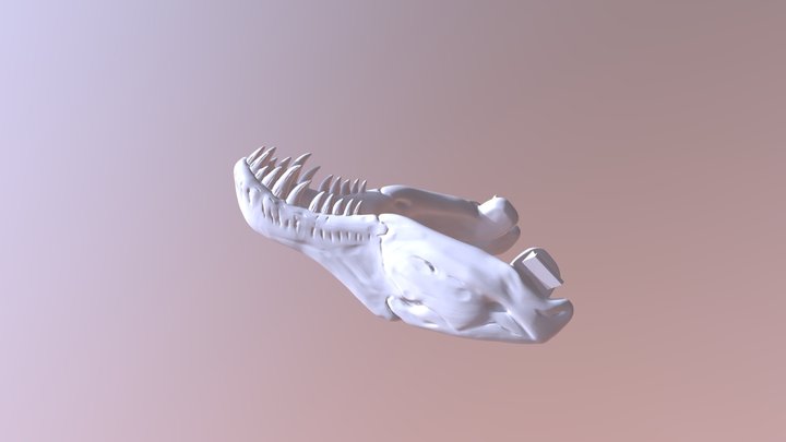 T- Rex Skull Jaw 3D Model