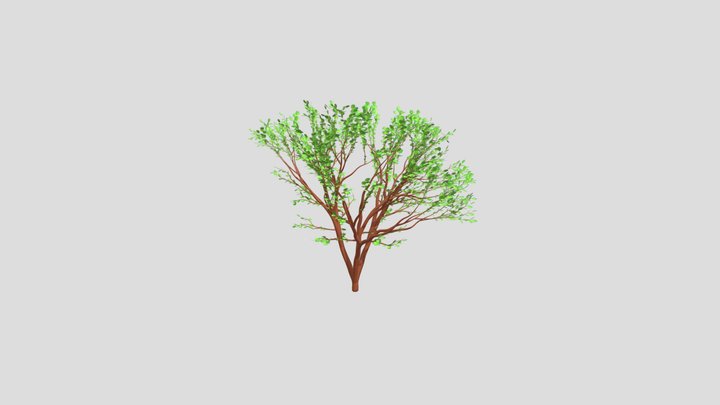 もみの木①　３Dメタバース用 3D Model