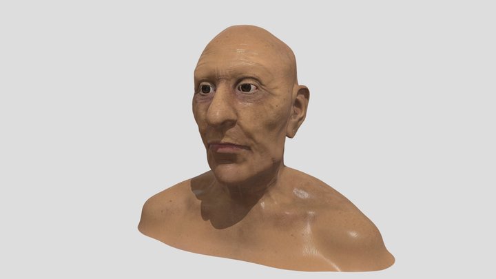 3D Facial Depiction of Pharaoh Ramesses II (90) 3D Model