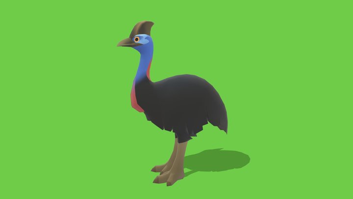Cassowary - Animated Low Poly – Free 3D Model STL