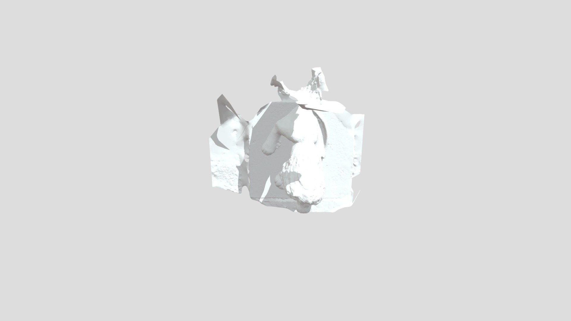 LionTest