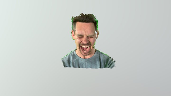 Kimmet scream 2 3D Model