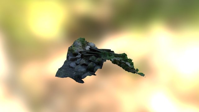 Lopoly 3D Model