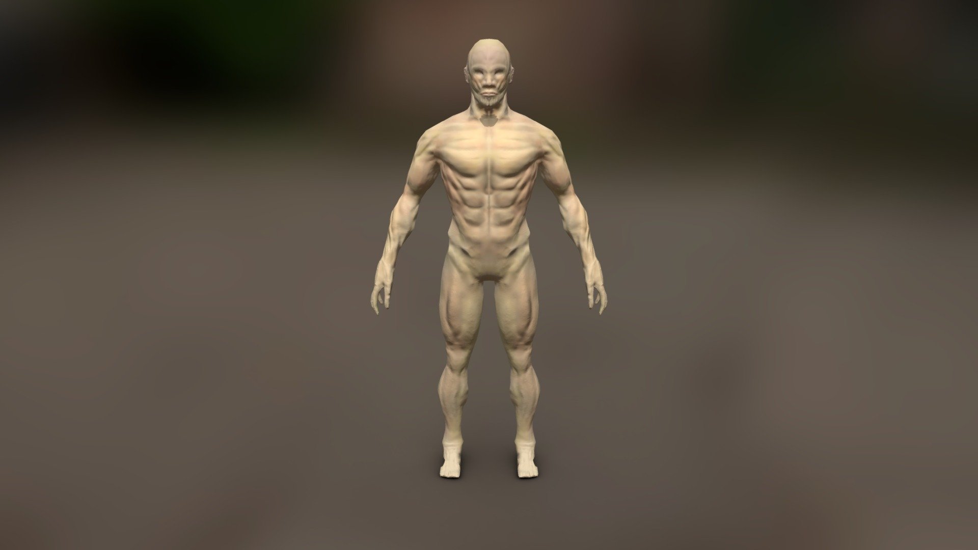 Sculpt Muscles Texture Paint