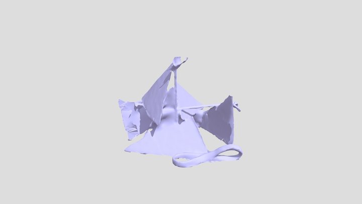 Scanned Object 3D Model