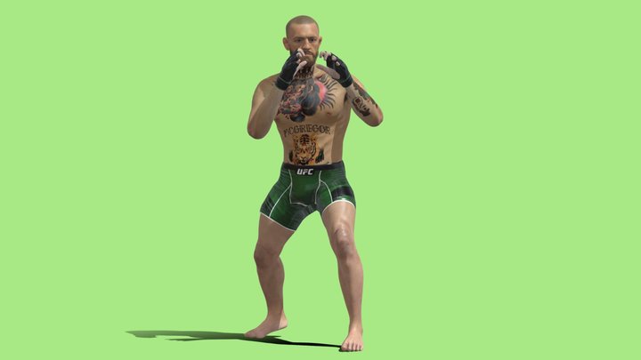 3D Rigged Conor Mcgregor 3D Model