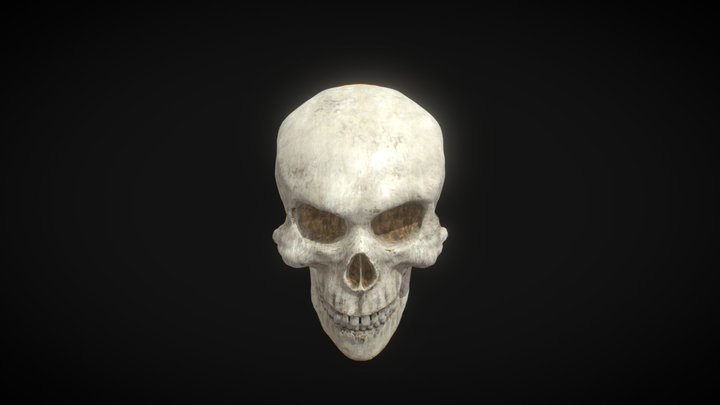 SKULL 3D Model