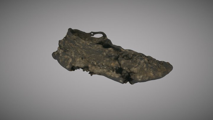 BELUM.A228.1955 Analytical © National Museums NI 3D Model