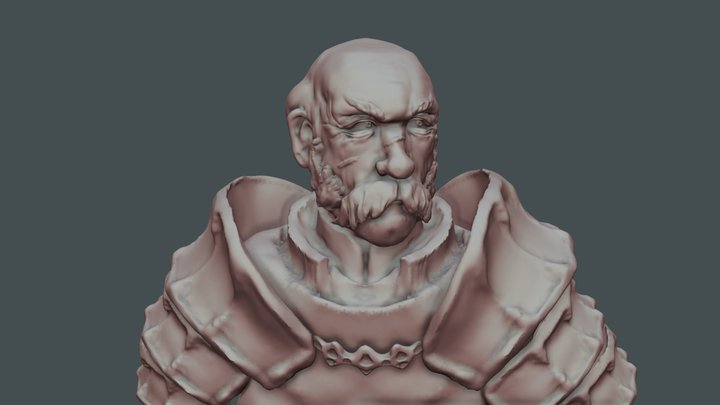 Grizzled Knight