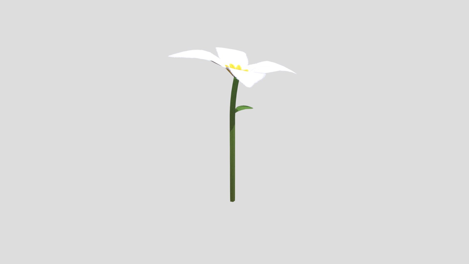 drawn bluet flower