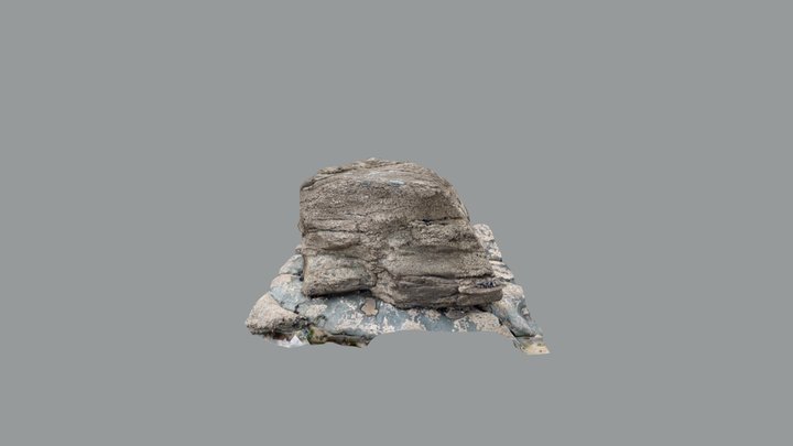 Barnacle-encrusted boulder 3D Model