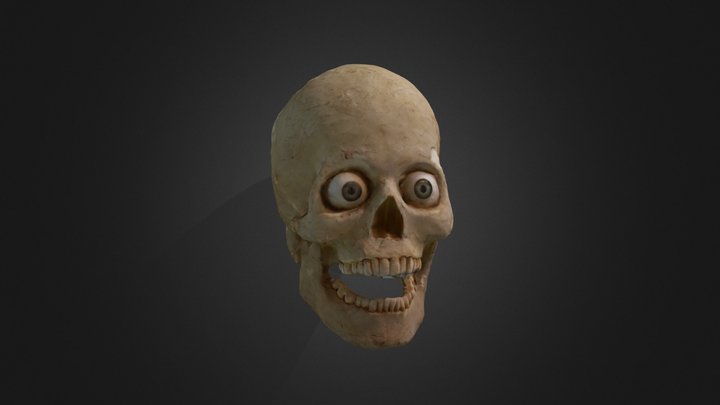 skull base removed 3D Model