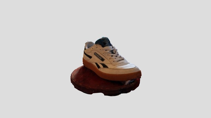 Shoe test 2 3D Model