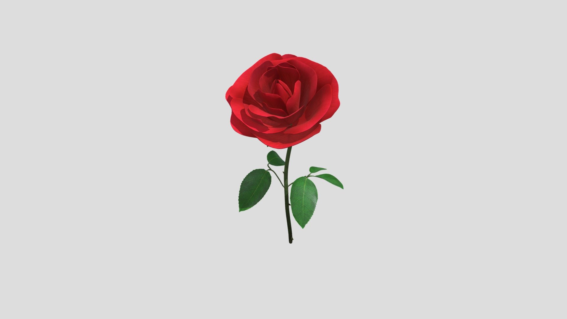 Rose - 3D model by 1930208040 [b9183cf] - Sketchfab