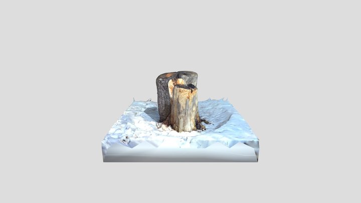 tree012 3D Model