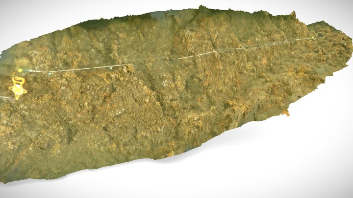 Milford Haven limestone wall 3D Model