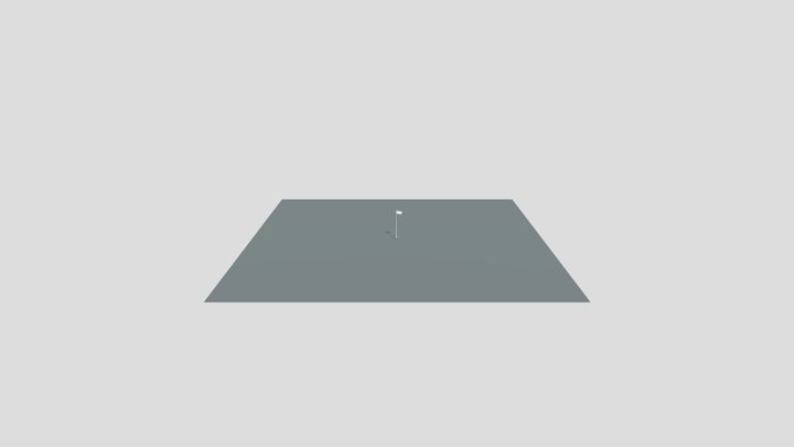 Indian Flag
