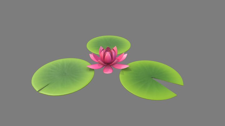 Lotus 3D Model