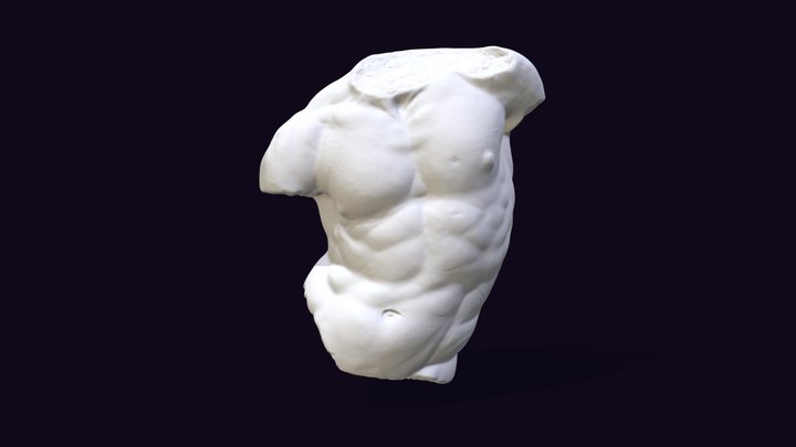 Gaddi Torso 3D (obj) 3D Model