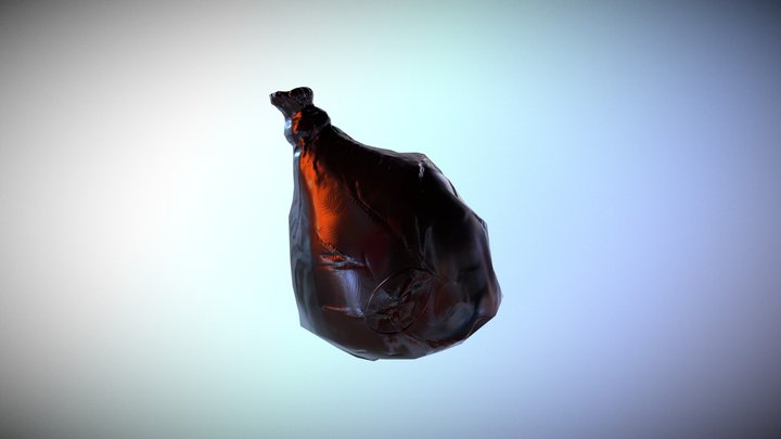 plastic Bag 3D Model