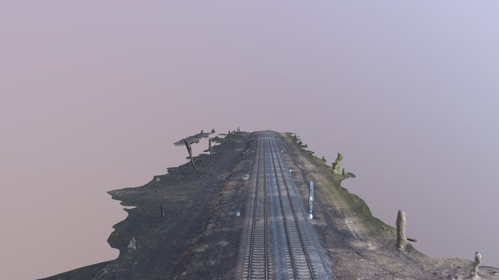 Tory 3D Model