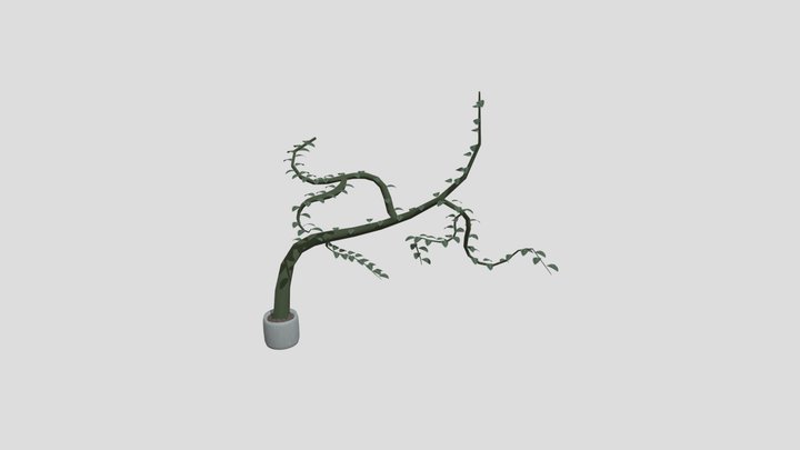 Plant 3D Model