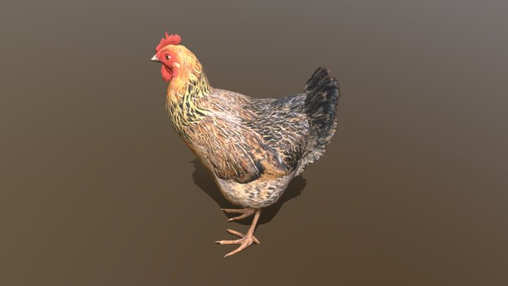 Chicken Rig 3D Model