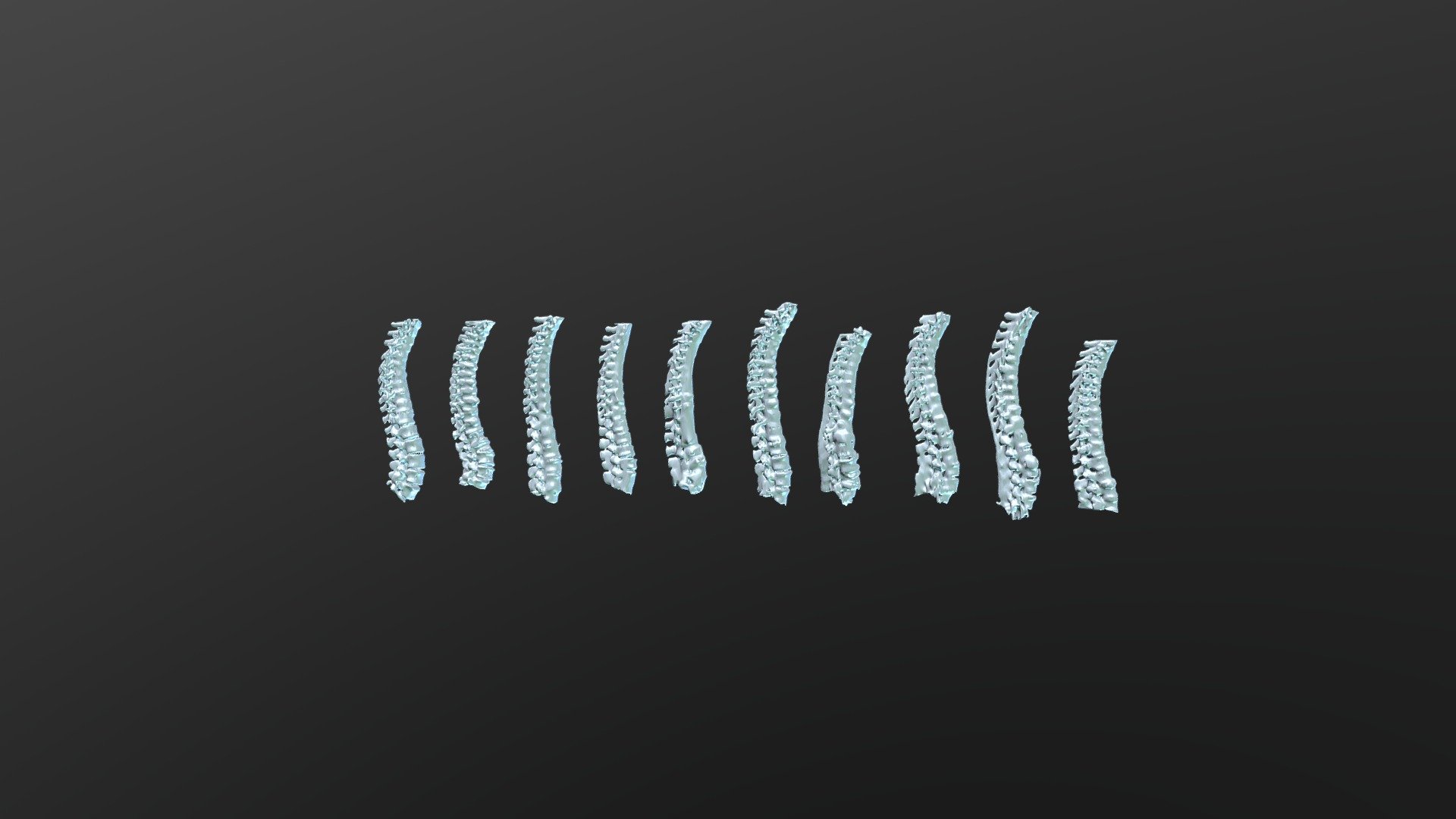 Male Spines