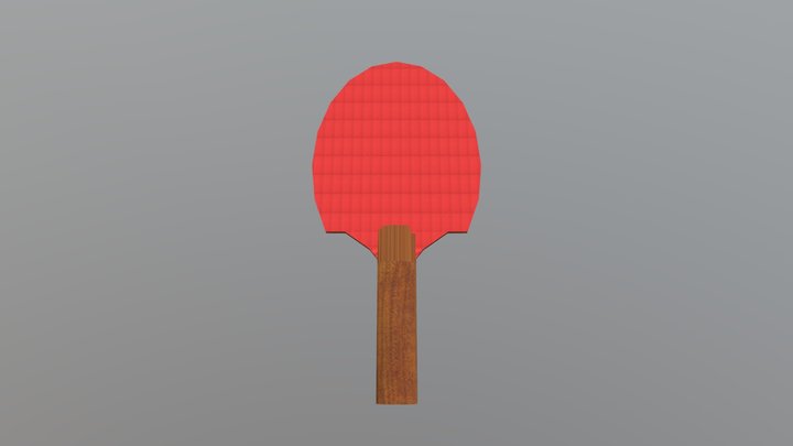 Table Tennis Paddle 3D Model