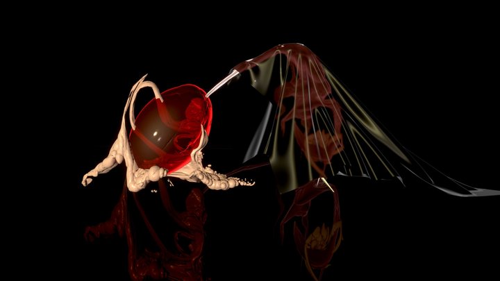 Unborn 3D Model