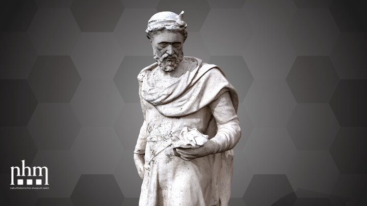 Paulus Aegina (NHMW-DOC-00087) – Modello 3D gratuito STL