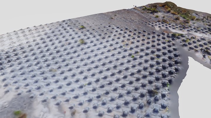 ドローンで空撮した動画から重信川の洗堰ブロックの3Dモデルを作ってみた 3D Model