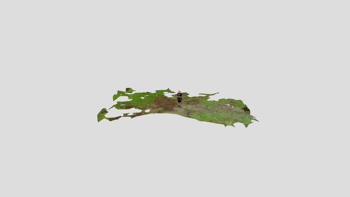 Joe in the park 3D Model
