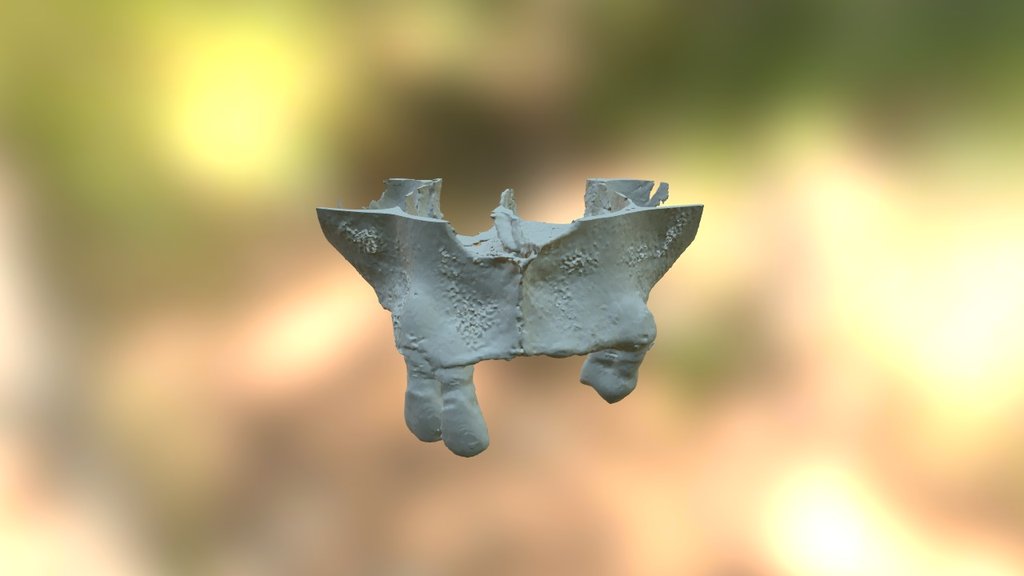 Wang Sheng Rui - 3D model by Avansur (@fun3d) [b93068c] - Sketchfab