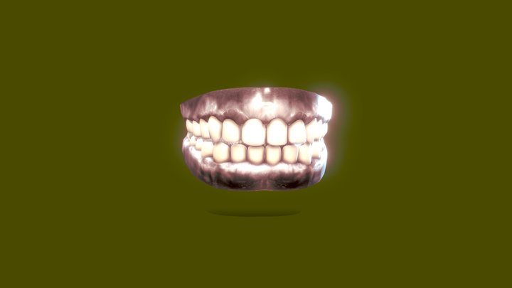 Teeth 3D Model
