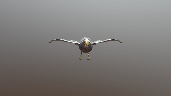 Seagull 3D Model