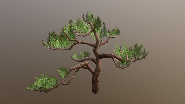 Pine Tree 3D Model